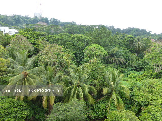 Southaven I thumbnail photo